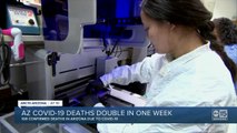 Arizona coronavirus deaths double in one week