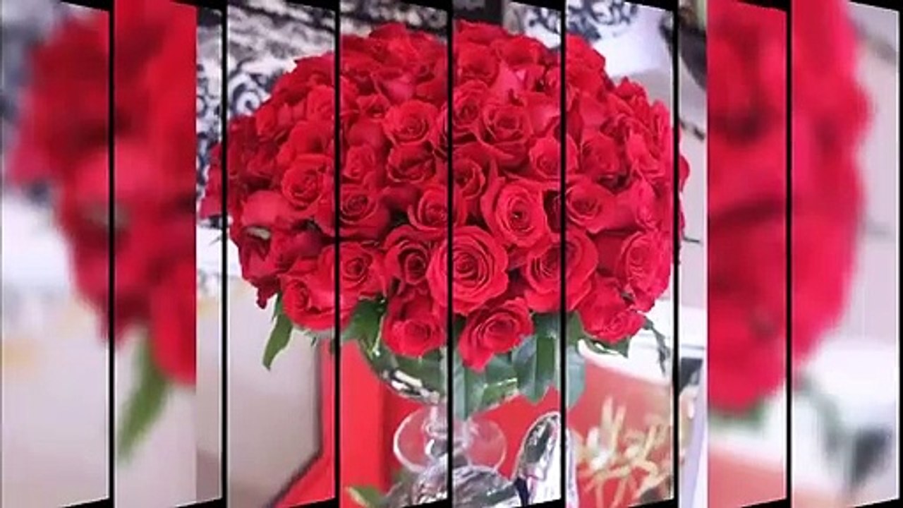 Stunning Beauty of Rose I Beautiful Rose I Amazing Rose I Beauty of Fruit & Flower