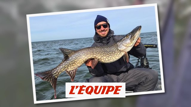 Zlatan Ibrahimovic, oh la belle prise ! - Foot - WTF
