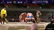 Kyokutaisei vs Hoshoryu - Haru 2020, Juryo - Day 4