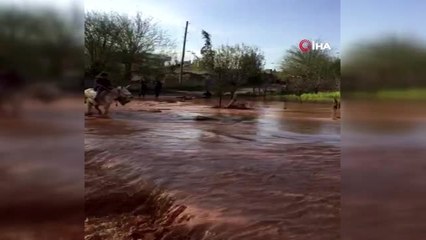 Aşırı yağış sonrası dereye dönen yoldan geçen koyun sürüsü yürekleri ağza getirdi