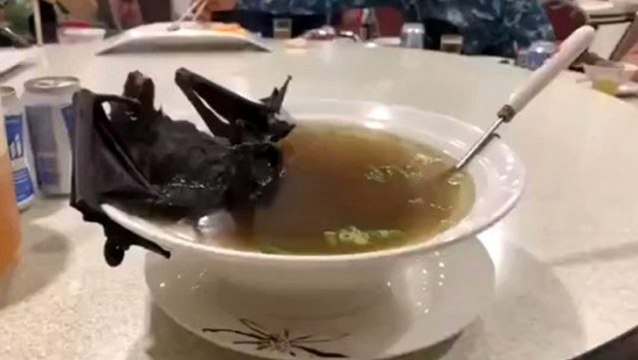 Dünya henüz mevcut olanını yenememişken bilim insanları, yarasalarda 6 yeni koronavirüs keşfetti