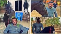 Salman Khan quarantine  | Panvel Farm House | Lock Down Diaries