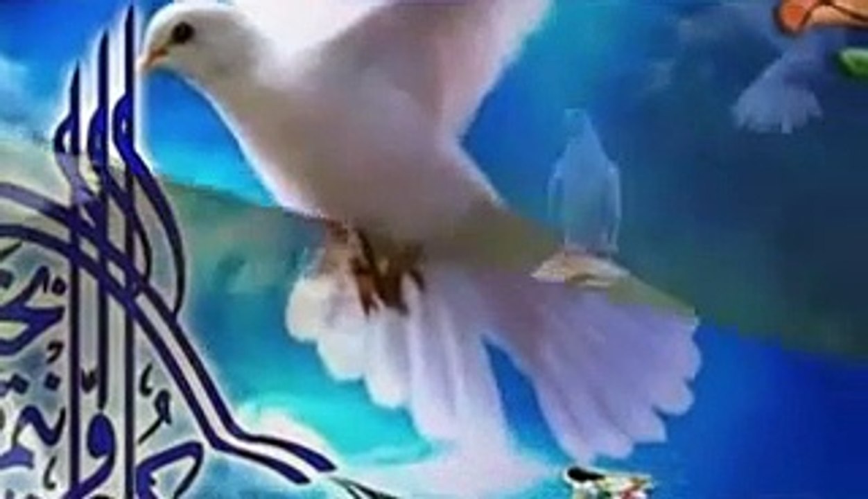 Зум, Зум, Зум Димитър Йосифов