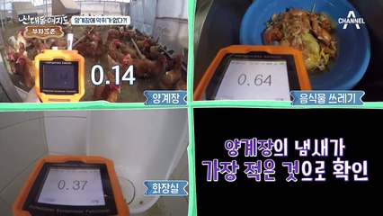 달걀 한 알에 1,000원?! 연 매출 3억 원을 부르는 비밀을 찾아라!