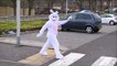 The Easter Bunny visiting shoppers at Aldi and Home Bargains in Camelon Falkirk