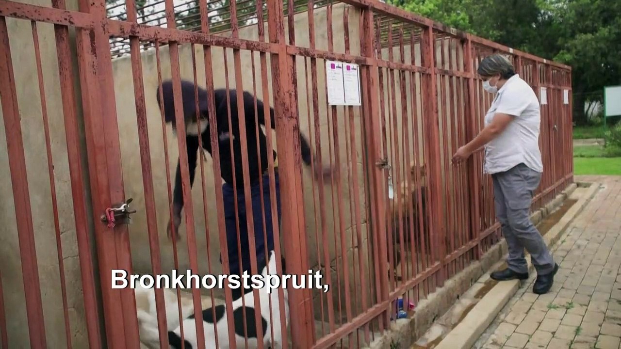 Wegen Corona: Tierpfleger ziehen zu ihren Schützlingen