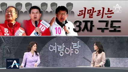 [여랑야랑]피 말리는 ‘3자 구도’ / 유효표·무효표 총정리