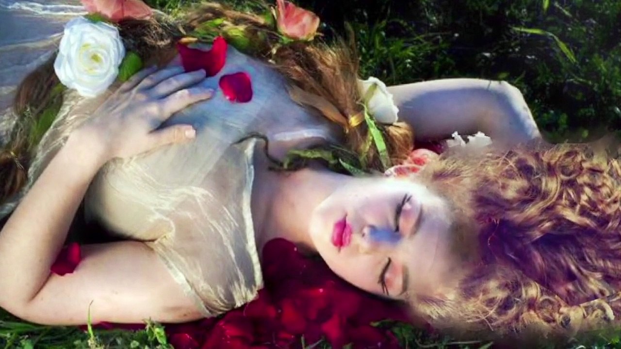 Rose Petals
