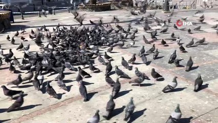 Meydanları mesken tutan güvercinleri polisler besledi