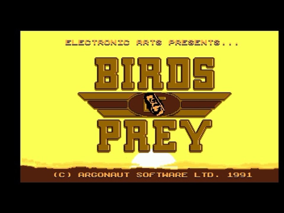 Birds of Prey_Amiga_1992