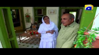 Hari Hari Churiyan - Episode 25 - Aiman Khan - Wahaj Ali - Hasan Ahmed