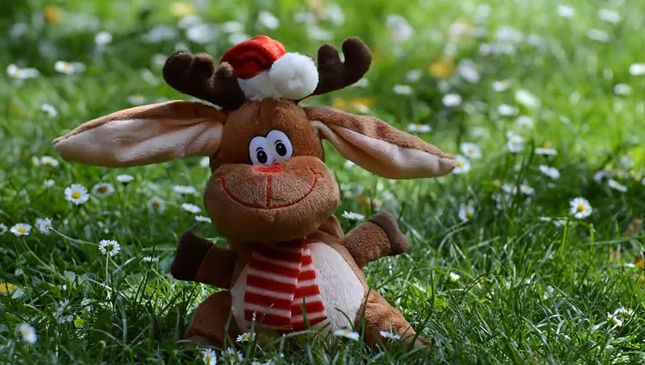 Reindeer - 3723Horror, Film, Movie, Animal, Animals, Retrospective, List, Countdown, Gore, Mosquito, Lake Placid, Black Sheep, Anaconda, Them, Piranha, Arachnophobia, Cujo, The Birds, Jaws, Top 10, Eco Horror, Genre