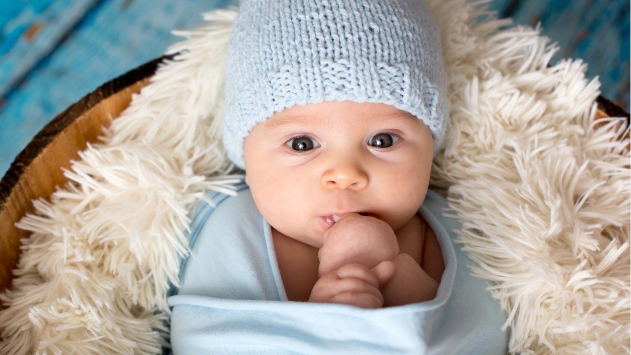 What Julian Assange Made During His Years Holed Up In London's Ecuadorian Embassy