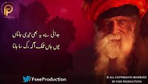 Aa Ke Ruk Sa Jaana - Arifana Kalam - Sami Kanwal - Faisal Ashraf CH - Fsee Production