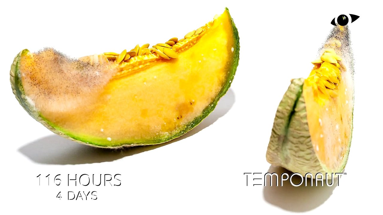 Cantaloupe Melon Time Lapse 4K