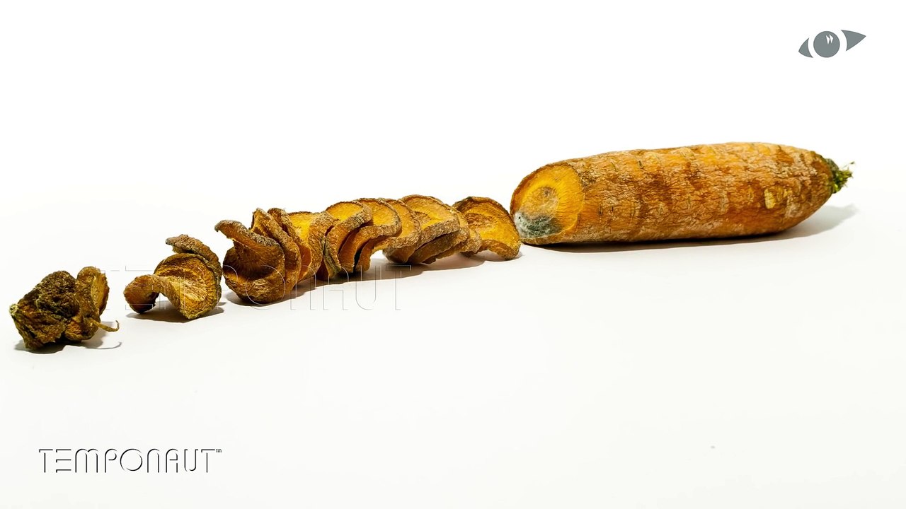 Carrot Time Lapse Video