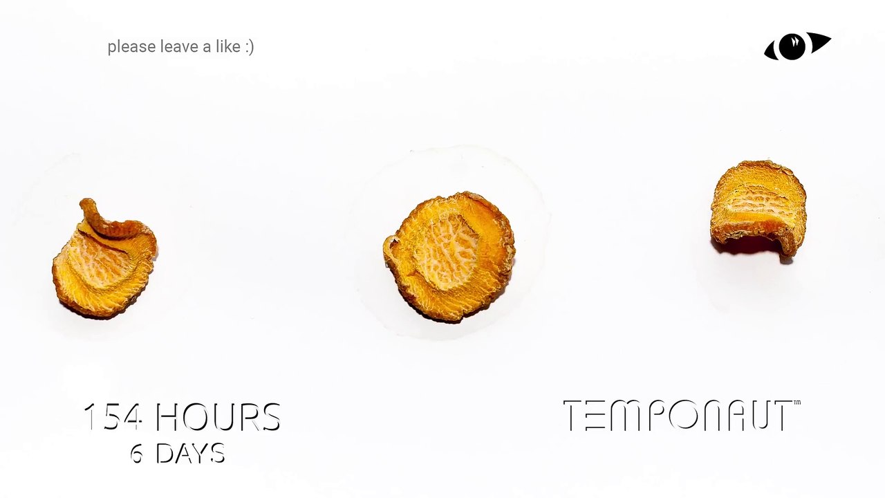 Carrot Timelapse