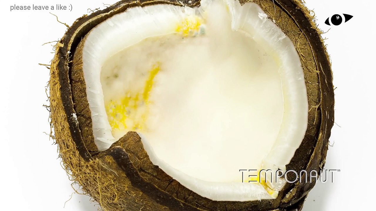 Coconut Time Lapse