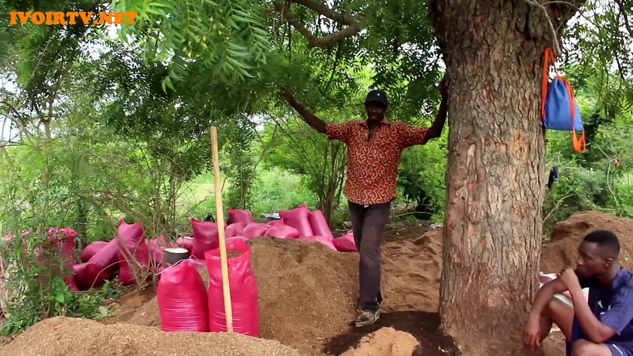 Sinfra/Richesse des sols : Les bienfaits de l’engrais organique