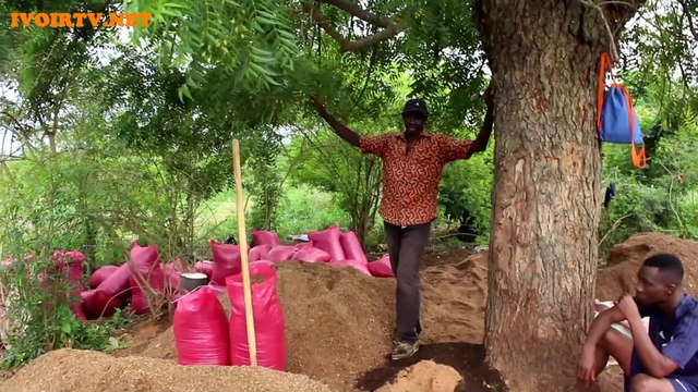 Sinfra/Richesse des sols : Les bienfaits de l’engrais organique