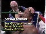 Merqui Sosa vs Michael Nunn (18-12-1993) Full Fight
