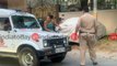 Uruguayan diplomat flouts lockdown rules in Delhi, fights with cops