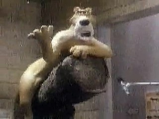 लॉकडाउन तोड़ने से रोका तो निहंग