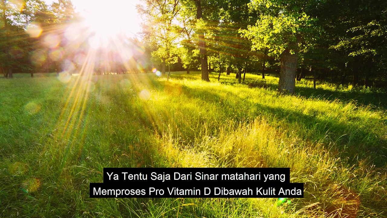 Sehat itu Mahal, Maksudnya