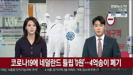 코로나19에 네덜란드 튤립 '0원'…4억송이 폐기