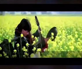 Bollywood's most favorite male star! Shah Rukh Khan