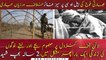 Two years child Martyred by Indian firing along LoC: ISPR
