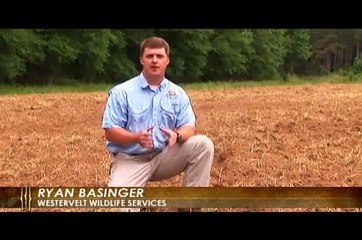 Westervelt Wildlife Wisdom, Preparing Food Plots Part 1
