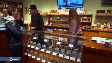 كورونا ينعش تجارة الماريوانا المخدرة في أمريكا