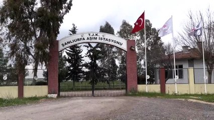 Şampiyon atlar "emeklilik"te de kazandırıyor