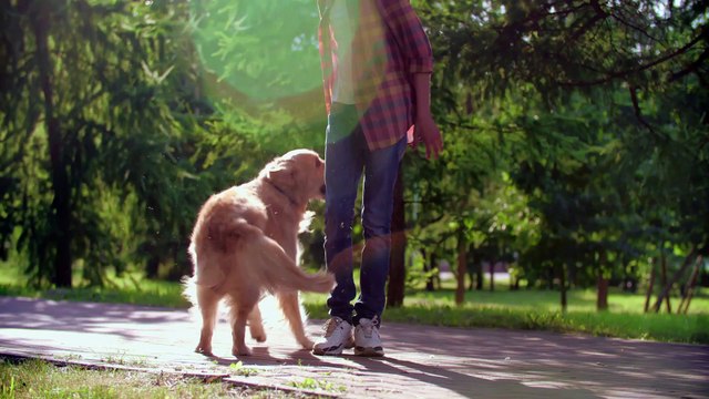 ऐसी अद्भुत और रहस्यमयी घटनाएं जिन्होनें वैज्ञानिको के भी होश उड़ा दिए||Science of Mystery Events|myth||Stubborn Facts, Mysterious Events, Mysterious Events Happened On Earth, Mystery