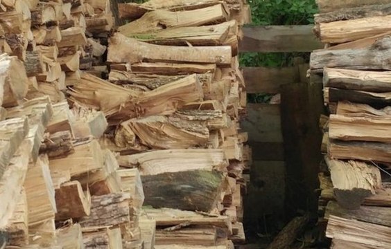 Saurez-vous trouver le chat qui dort sur cette photo?