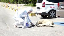 MERSİN Sokaktaki canlar unutulmadı