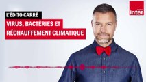 Virus, bactéries et réchauffement climatique - L'édito carré