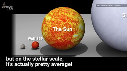 The Biggest Star in the Universe is a Monster Next to Our Sun
