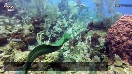 What Scientists Found at the Bottom of this Mysterious ‘Blue Hole’