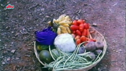 Malgudi Days - मालगुडी डेज - Episode 39 - Naga - नागा (Part 1)