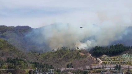 경기 가평 야산에 불...강한 바람으로 진화 어려워 / YTN