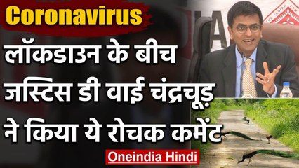 Lockdown: SC के Justice DY Chandrachud ने क्यों कहा- 'बगीचे में मोरों का झुंड देखा | वनइंडिया हिंदी