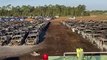 3500 voitures de location brûlées dans l'incendie proche d'un aéroport en Floride