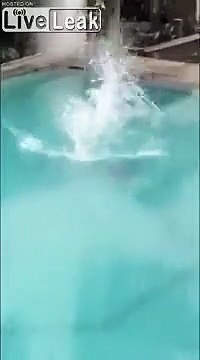 Les singes ont remplacé les touristes dans cet hotel de Pattaya