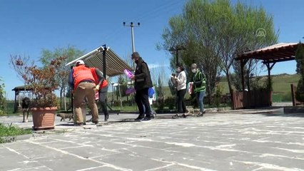 Sokak hayvanlarına hem mama hem sevgi veriyorlar