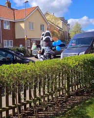 Delivering Birthday Gifts in Dinosaur Suits