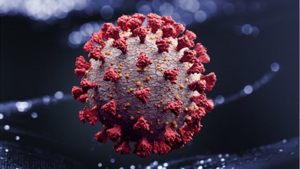 U.S. Holds Most COVID-19 Related Deaths