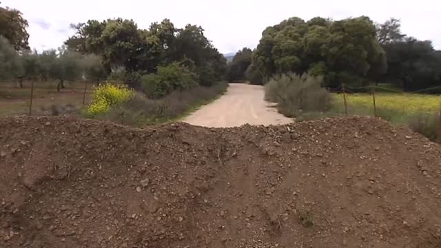 117 detenidos y 10.245 multas en las últimas 24 horas por saltarse el confinamiento